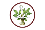APOTECA 223